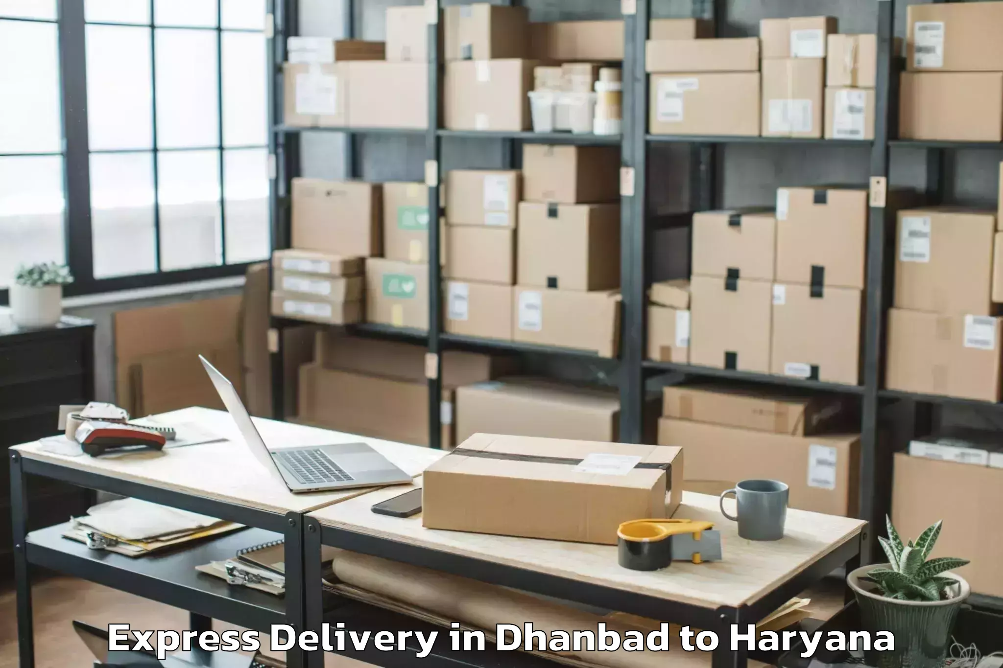 Quality Dhanbad to Central Plaza Mall Gurgaon Express Delivery